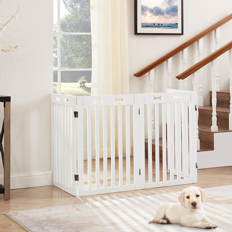 Dog sale gates wayfair